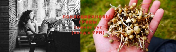 прущий лед Армянск