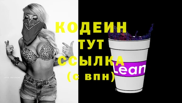 прущий лед Армянск