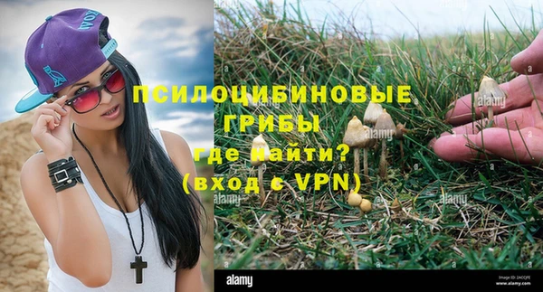 прущий лед Армянск